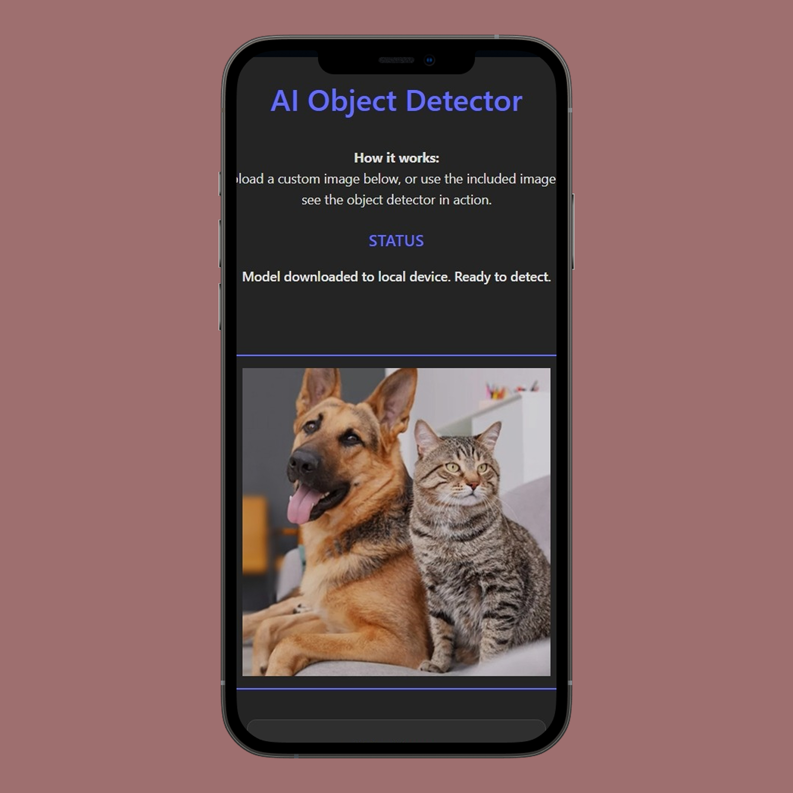 Project Screenshot 1